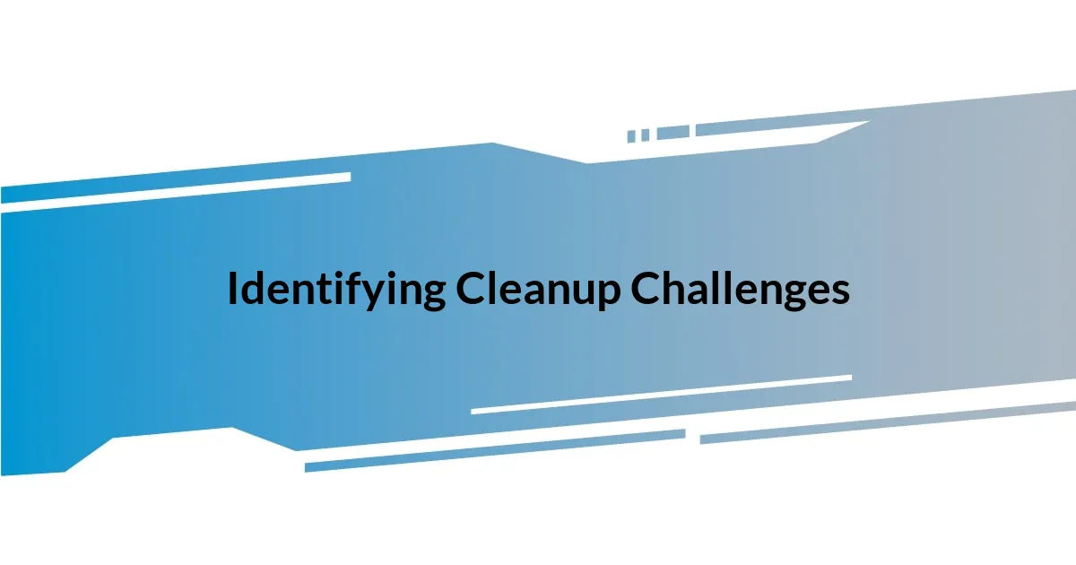 Identifying Cleanup Challenges